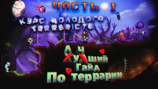 Курс молодого Terrariста  Лучший гайд по Террарии  Часть 1 [upl. by Doro947]