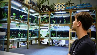 Incredible Hand Built Aquarium Store  Full Tour [upl. by Ainattirb]