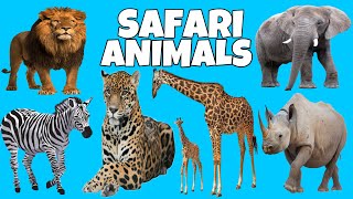 Wild animals names and sounds  Learning wild animals sounds  Learn about African Animals [upl. by Karlan766]