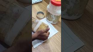 Cricket bat Repair  cricket bat  cricket bat repair at home cricket cricketlover cricketing [upl. by Katya]