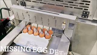 DAMTECH Optipack40 repacker egg packer [upl. by Laurel]