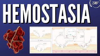 Hemostasia Explicada Claramente [upl. by Nnek]