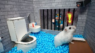 Hamster Escapes Prison Maze 🐹 Best of Hamster Adventures pets in real life 🛑Live Stream [upl. by Veljkov]