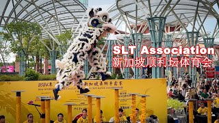 SLT Association Singapore 新加坡顺利坛体育会 Kweichow Moutai Cup Singapore Lion Dance Championship 2024 [upl. by Amian]