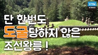 깊이 27m 땅굴에도 도굴되지 않았던 조선 왕릉의 비밀  YTN 사이언스 [upl. by Eceerehs]