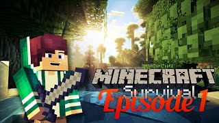 MinecraftSurvival GELIJK AL DIAMONDS GEVONDEN  Minecraft Survival 1 [upl. by Secundas]