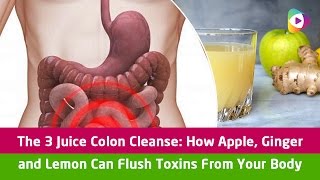 The 3 Juice Colon Cleanse How Apple Ginger and Lemon Can Flush Toxins From Your Body  Tubeston [upl. by Neitsirk]