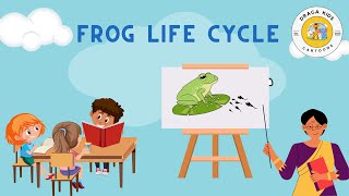 Frog Lifecycle [upl. by Dionis]