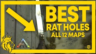 TOP 12 BEST RAT HOLES on All 12 Maps  ARK Survival Evolved [upl. by Jo-Ann]