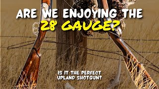 Are We Enjoying the 28 Gauge [upl. by Noah]