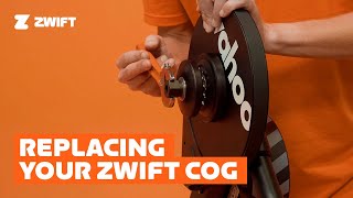 Replacing Your Zwift Cog [upl. by Nylrebmik]