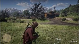 Red Dead Redemption 2 Wild Carrot Location [upl. by Ytsanyd138]