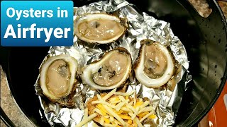 Oysters in Airfryer Ninja Foodi [upl. by Nosmas]