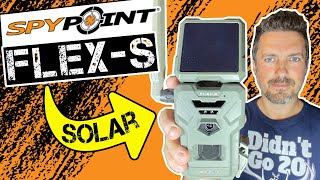 Spypoint FLEXS Cellular Trail Camera 🔋No More Batteries Solar Panel Great Images amp Easy to Use [upl. by Woodall]