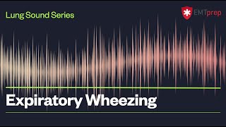 Expiratory Wheezing  EMTprepcom [upl. by Auqinahc939]