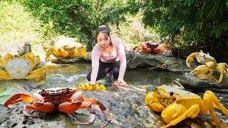 Catch A Lot Of Crab Goes To Countryside Market Sell  A farm life Harvesting [upl. by Sigfrid]