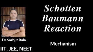 Schotten Baumann Reaction  Mechanism  by Dr Sarbjit Rala For Class 1 2 AIIMS NEET JEE BSc [upl. by Sayer]