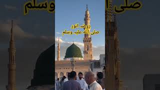 Mery Aqa ko dekho gay rozarasool gumbadekhazra madina [upl. by Enilrahc]