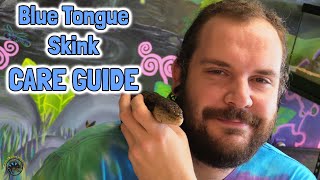 💙 How to Take Care of a Blue Tongue Skink A TDI General Care Guide 💙 [upl. by Cirala]