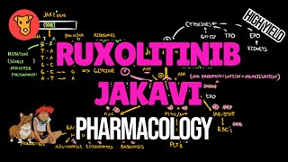 RUXOLITINIB JAKAVI Mechanism of action Pharmacology JAK2 mutation [upl. by Ahsenrad373]