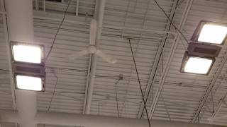 Canarm CP56 Industrial Ceiling Fans [upl. by Meadow]