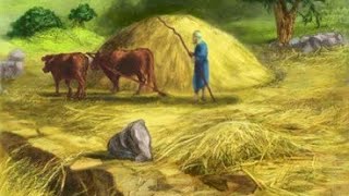 🔴 LIVE Threshing floor of Araunahఓర్నాను కళ్ళము Hyderabad24022024 BroLuke Barnabas [upl. by Llet]