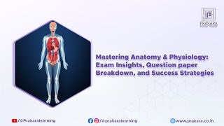 Mastering Anatomy amp Physiology Exam Insights Question Breakdown and Success Strategies  part 2 [upl. by Nrubliw37]