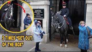 ❌ UNBELIEVABLE GUNNER SHOUTS 5 times at them then USES her horse to GET ONE OF THEM OUT OF THE BOX [upl. by Dael]