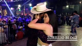 Norteñas 2019 2020 Bailando Con Sax Mix Zorillio Blogz [upl. by Nwahsyd]