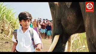 Rajabheema HD New Blockbuster Full Hindi Dubbed Action Movie  Arav Ashima Narwal Yashika [upl. by Moscow]