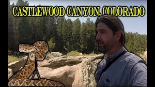 Castlewood Canyon CO  RATTLESNAKE COUNTRY [upl. by Filler]