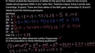 Population genetics  Three alleles problem [upl. by Hauger952]