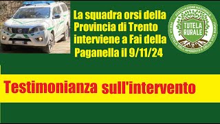 Fai della Paganella intervento forestali 91124 [upl. by Brockie]