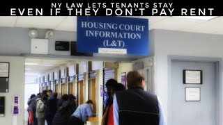 NY Law Lets Tenants Stay Even If They Don’t Pay Rent To Their Landlord [upl. by Dexter279]