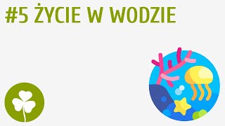 Życie w wodzie 5  Przyroda wokół mnie [upl. by Akenehs]