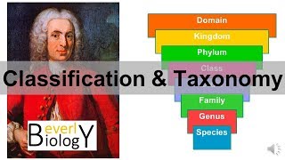 Classification and Taxonomy [upl. by Beauchamp]