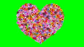 Love Heart Formation with Cute Flowers GreenScreen Animation HD [upl. by Laden]