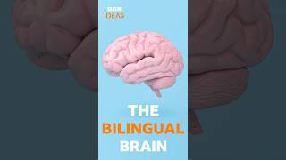 How bilingualism boosts your brain  BBC Ideas [upl. by Cedell]