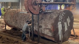 Amazing Woodworking Factory  Extreme Wood Cutting Sawmill Machines Cheesy Wood Giant 1000 Year Old [upl. by Airb]