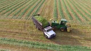 Chopping wheat silage spring 17 [upl. by Nesral]