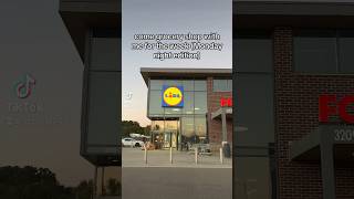 Monday night groceryrun groceryhaul weeklyreset groceryshopping lidlhaul grocerystore lidl [upl. by Dalury]