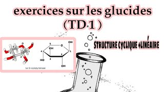 les glucides  série dexercice TD1 structure cyclique et linéaire [upl. by Tacye333]