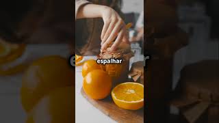 Truque Para Fazer Um Aromatizador Caseiro com Casca de Laranja shots dicas [upl. by Harv]