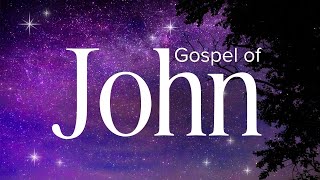 Gospel of John  Abide Audio Bible Holy Bible Audio [upl. by Cliffes]