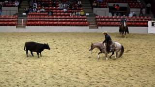 Houston Rodeo Professional Cutting Horse Competition [upl. by Notsnarc676]