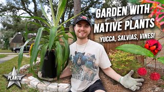 Upgrade Your Garden With Native Plants Yucca Salvias Strawberry Bush ZONE 9  Houston Texas [upl. by Ayo995]