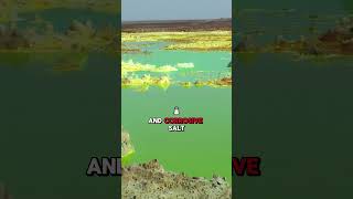 If You Try to Enter the Dallol Region of Ethiopia You Will Die 💀🔥 [upl. by Ynaffyt]