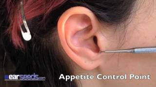 Appetite Control  Hunger Point Auriculotherapy Point [upl. by Shirberg]