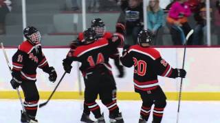 Minnesota High School Hockey Luverne 14 Marshall 3 [upl. by Heiner337]