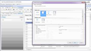 Input Controls on Business Objects 31 [upl. by Alak]